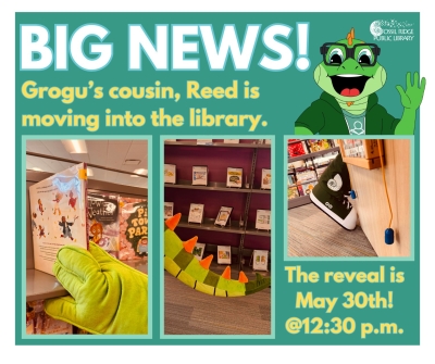 Grogu’s cousin Reed is moving into the library. 