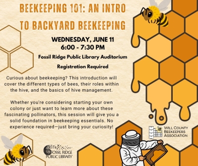 Beekeeping 101: An Intro to Backyard Beekeeping