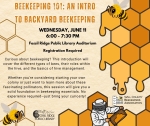 Beekeeping 101: An Intro to Backyard Beekeeping