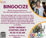 Bingocize