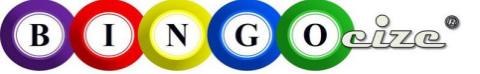 The letters Bingocize in different colors on a white background